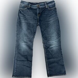 Big and Tall Dark Blue Capri Jeans